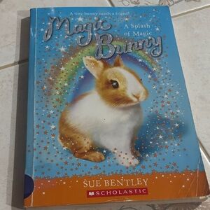 Scholastic Magic Bunny Book - Blue and Orange Cover
